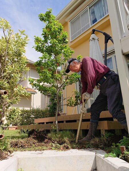 東京都狛江市の植木 庭木の植え替えを料金と口コミで比較 すまいのほっとライン 東京都狛江市の植木 庭木の植え替えを料金と口コミで比較 すまいのほっとライン