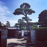 関西造園社 セレソ すまいのほっとライン