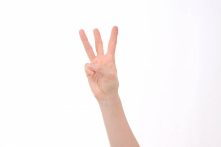 【梅の剪定】梅の木を剪定する時の3つのポイント