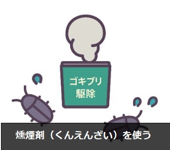 ゴキブリの赤ちゃんはゴキブリの大量発生のサイン ゴキブリの赤ちゃんの種類や駆除方法 すまいのホットライン