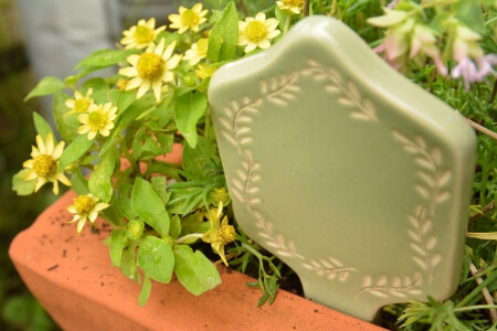 ほったらかしで毎年咲く花を育てる時の注意点