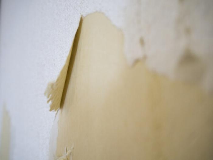 壁紙の剥がし方 壁紙を剥がすコツから古い壁紙を失敗せずに剥がすポイントを紹介 すまいのホットライン