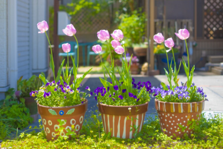 ❤️ 鉢植えカントリー生地のチューリップ ❤️ ❤️ 鉢植えカントリー生地のチューリップ ❤️