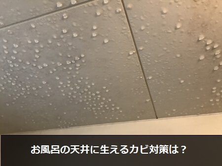 お風呂の天井を掃除するにはフロアワイパーが便利