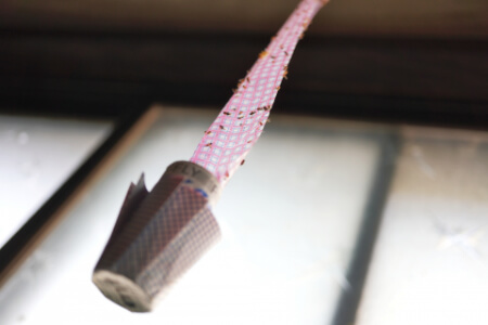 今すぐできる羽虫の駆除・撃退法