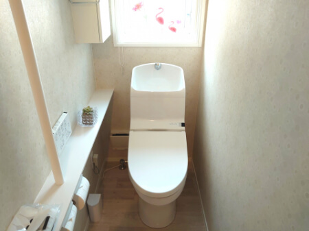 トイレにカビが発生する原因は?