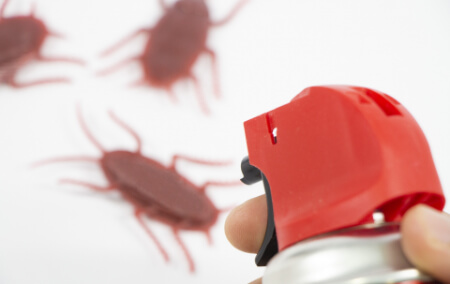 ゴキブリを発見した時の初動対応