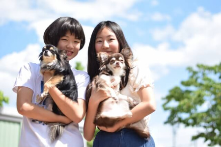 【犬の病気】愛犬が病気になる前にできる3つのこと
