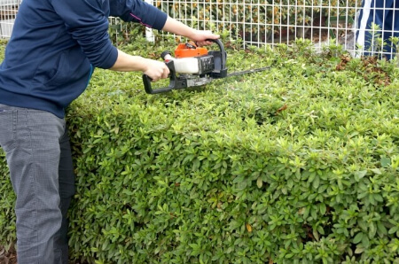 生垣とは 生垣によく使われる植物から生垣を剪定 刈り込みする方法までまとめて紹介 すまいのほっとライン
