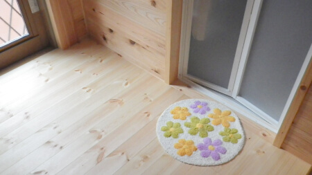 【猫の保険】猫の保険料について2点の注意点がある!
