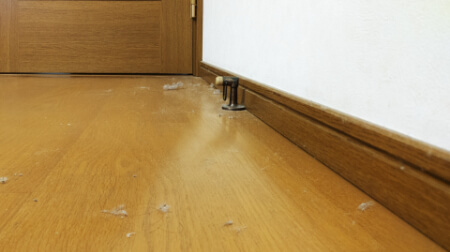 ホコリの正体とは?