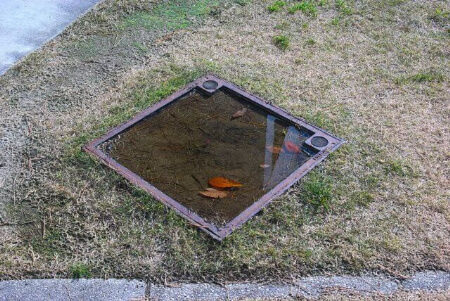 ヤブ蚊を発生させないためにボウフラを駆除する
