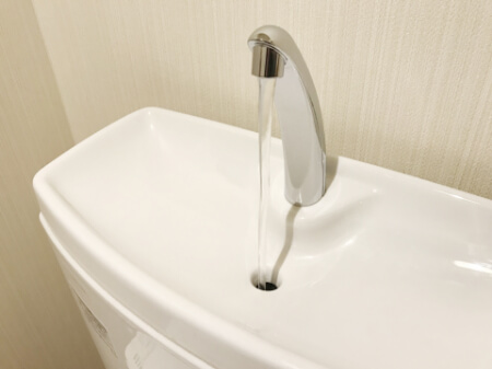 ペット葬式の流れ(葬式を行う場合と行わない場合)