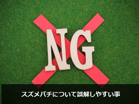 スズメバチに刺された時の対処方法