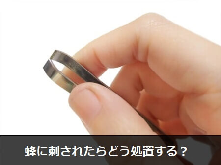 蜂に遭遇した時の3つの対処方法
