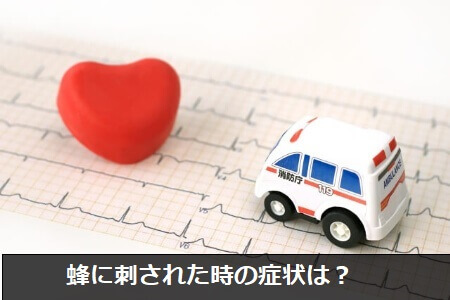 蜂刺されの被害に遭わないための4つの注意点