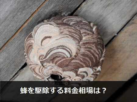 業者に蜂を駆除してもらう費用相場は?