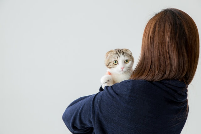 愛猫が寿命を迎える日まで…飼い主としての心構え