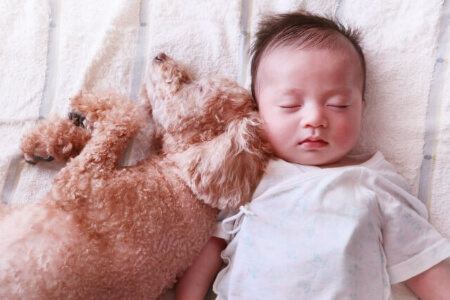 中性洗剤が落とせる汚れや得意な汚れ