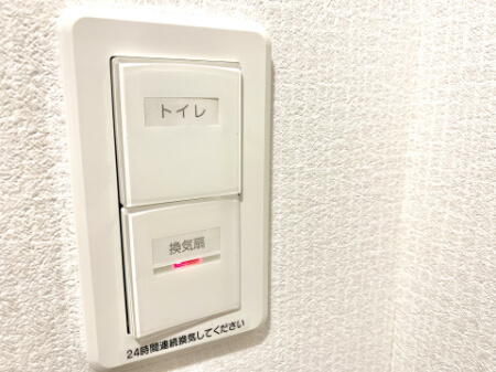 【便所虫の予防】自分で便所虫を予防する方法を知ろう!