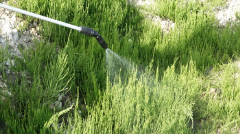 おすすめの除草剤5選!