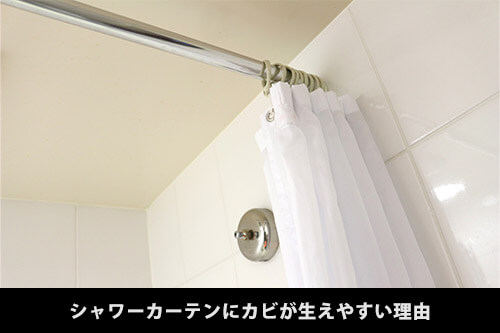 シャワーカーテンにカビが生えやすい理由