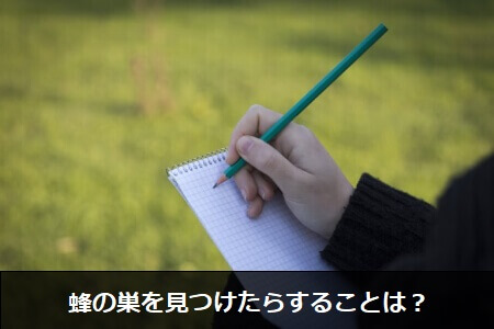 【蜂の巣の種類】蜂の巣を見つけたら種類に関係なくする2つの事