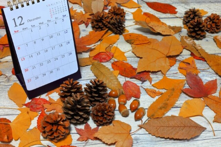 もみじの剪定 秋に綺麗な紅葉を楽しむ秘訣 正しいもみじの剪定時期や方法を解説 すまいのほっとライン