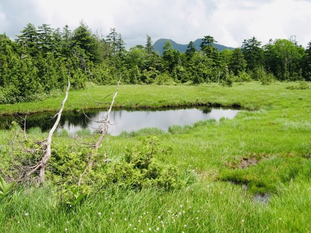 田んぼや川などの湿地だった跡