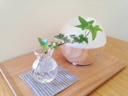 他の家電と併用して花粉症対策しよう