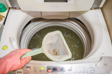 洗濯機のカビを掃除する時の4つの注意点