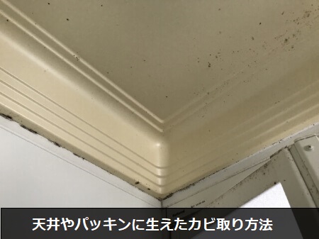 片栗粉でお風呂に生えたカビを取る方法