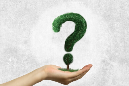 【シロアリの種類】?シロアリはどんな虫?種類が多いの?