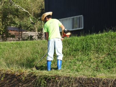 草刈りの道具 効率的にできる草刈りの道具と使い方を紹介します すまいのほっとライン