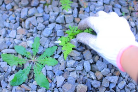 【雑草対策】誰でもできる固まる砂を使って雑草対策