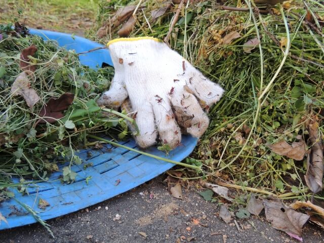 【雑草対策】雑草対策してもダメなら組み合わせる!