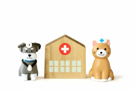 汚れたぬいぐるみを「ぬいぐるみ病院」でキレイにする