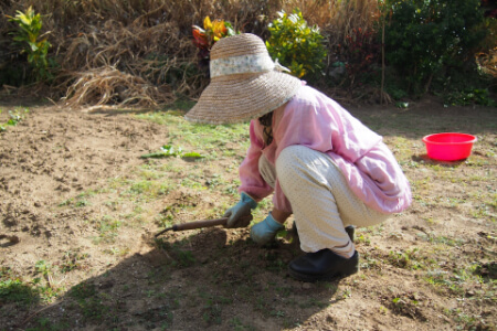 草むしりの道具 便利な草むしりの道具を使ってラクにやろう すまいのほっとライン