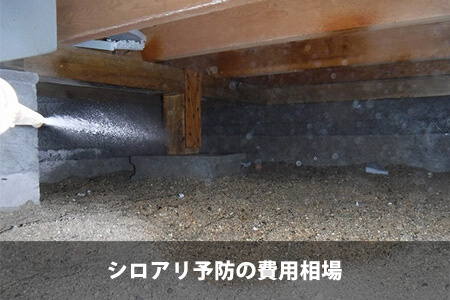 シロアリの駆除を依頼する前に相見積もりしよう