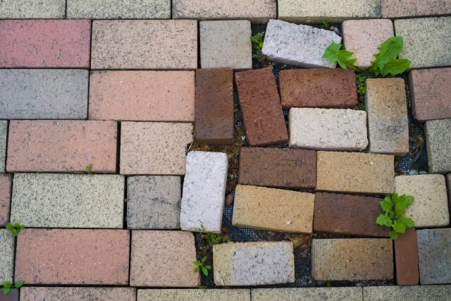 1つの雑草対策で効果がない場合は