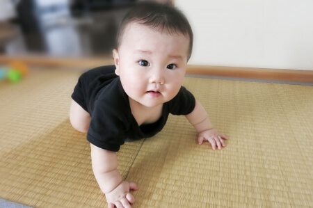 畳の張替えをしたら畳を長持ちさせる6つのポイントを知ろう!