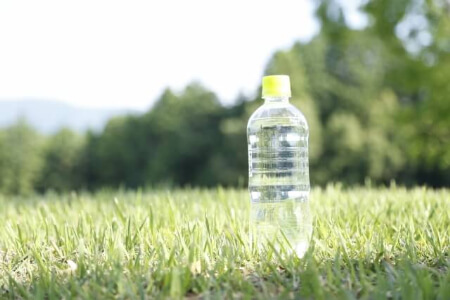 草むしりする時の3つの注意点