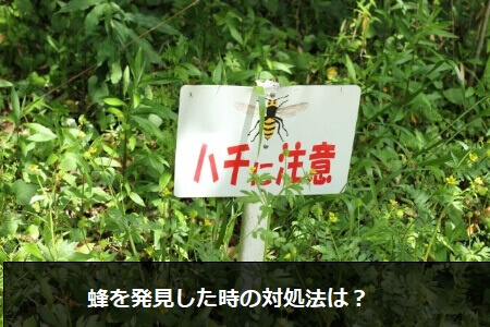 蜂を発見した時の「対処方法」と「予防方法」