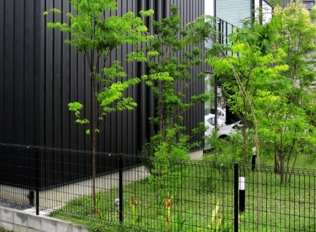 芝生の種類 芝張りする前に芝生の種類や特徴を知っておいた方がいい すまいのほっとライン