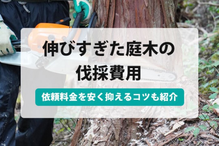 フローリングの補修 自分でできるフローリングの補修方法を試そう すまいのほっとライン