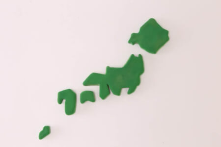 家で見かける蜘蛛の特徴は?