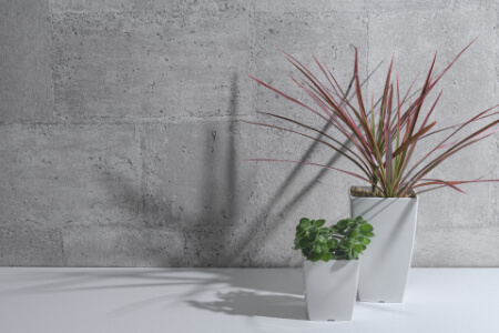 ドラセナの正しい育て方から挿し木する方法 ドラセナは 幸福の木 と呼ばれる観葉植物 すまいのホットライン