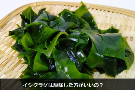 イシクラゲを駆除した方がいい2つの理由