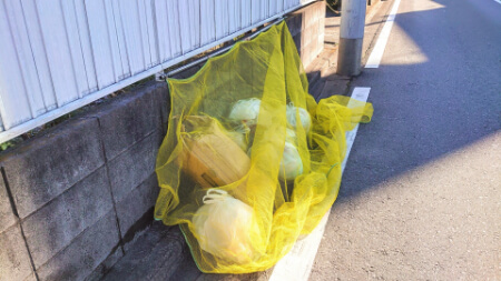 家庭用プリンターを処分する5つの方法