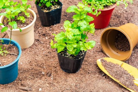 植木鉢のサイズ 計算しよう 植木鉢のサイズで入れる土の量が違う すまいのほっとライン